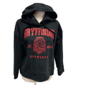 Hand Printed Upcycled Womens Medium Harry Potter Hogwarts Gryffindor Hoodie