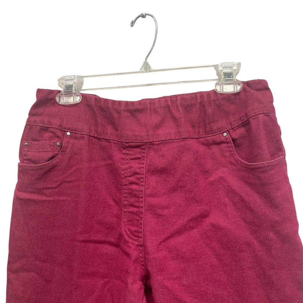 Blair Womens Size 14 Hot Pink Cotton Blend Elastic Waist Pull On Jean Pants