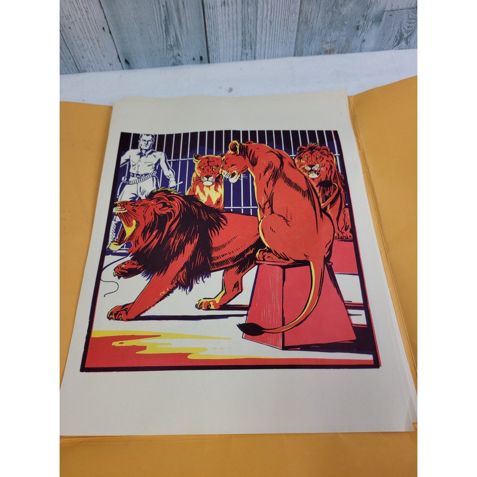 10 Vintage 1976 Circus Graphics of Majestic Photo Press 11" by 14" Art Posters