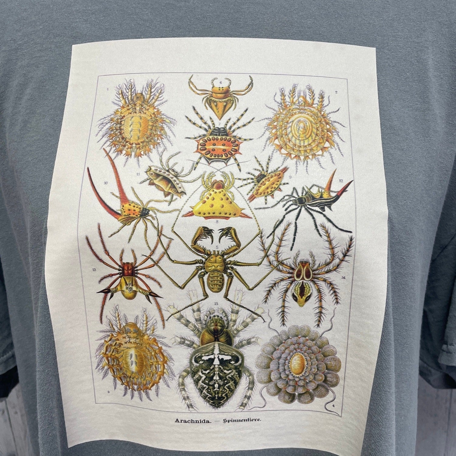 Hand Printed Upcycled Mens 2XL Vintage Book Page Arachnid Spider Crew Neck Tee