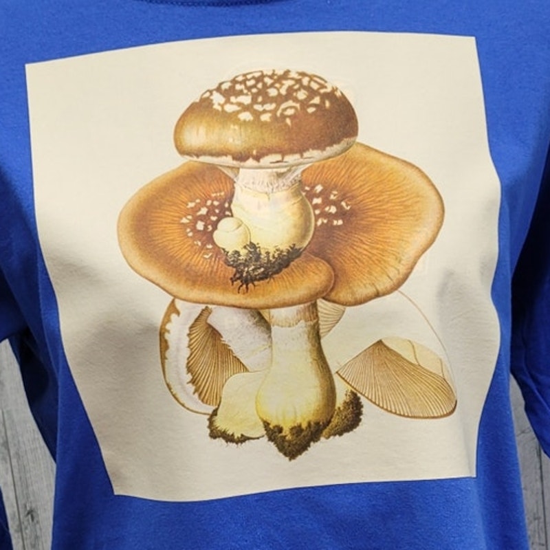 New Hand Printed Upcycled Youth XL Pleurotus Spodoleucus Oyster Mushroom T-Shirt
