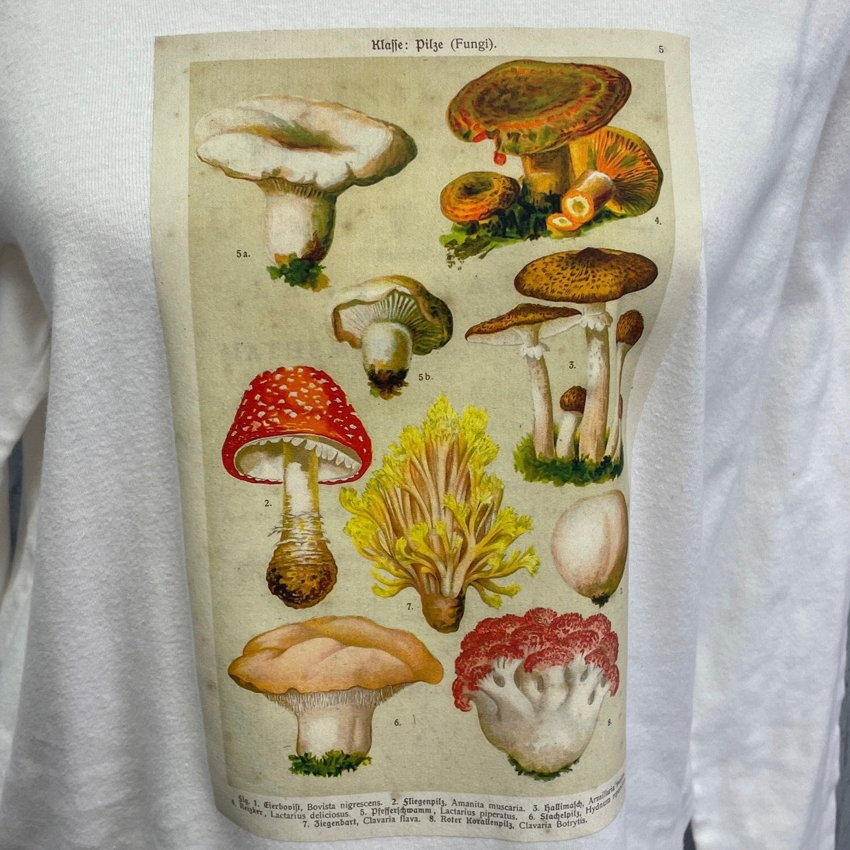 Hand Printed Upcycled Womens XL Vintage Reference Book Mushroom Fungi Long Tee