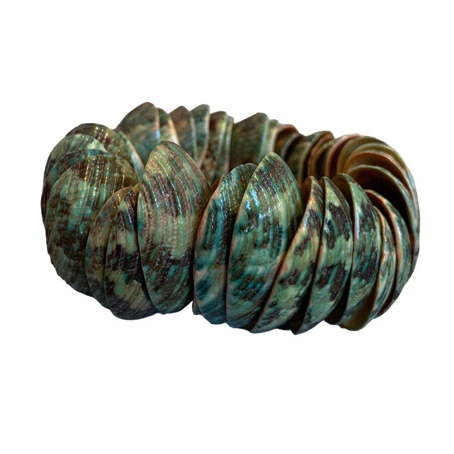 New Green Brown Cockle Shell Costume Jewelry Summer Beach Stretch Bracelet