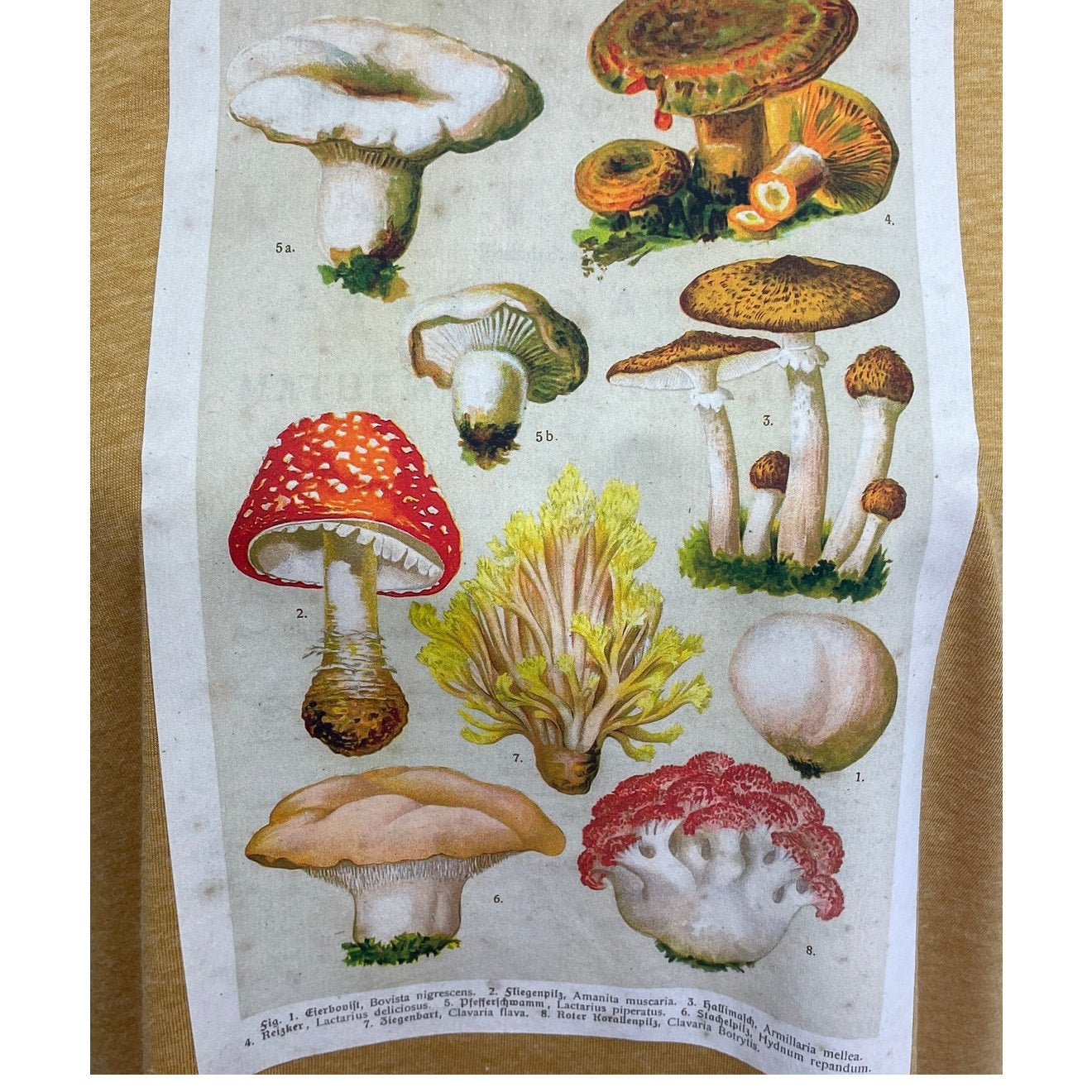 Hand Printed Upcycled Womens Large Vintage Reference Book Mushroom Fungi Tee