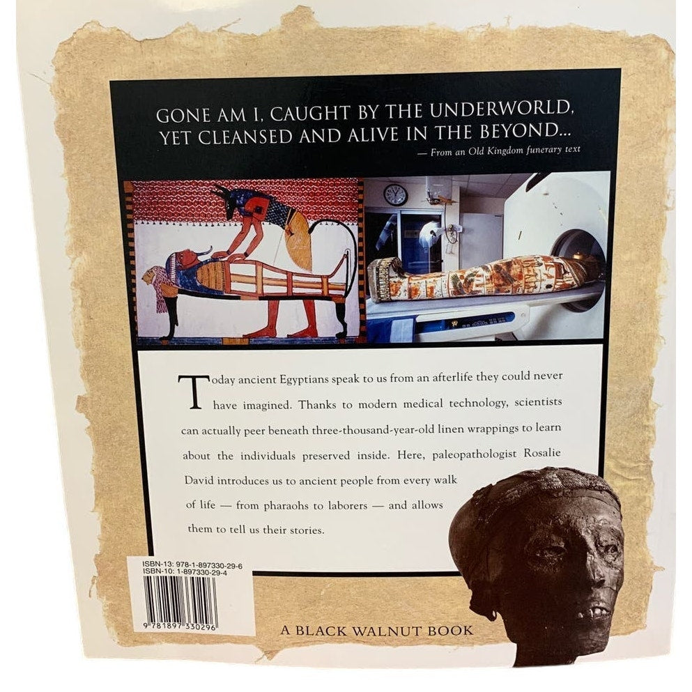 Vintage 2000 Conversations Mummies New Light on Lives of Ancient Egyptians Book