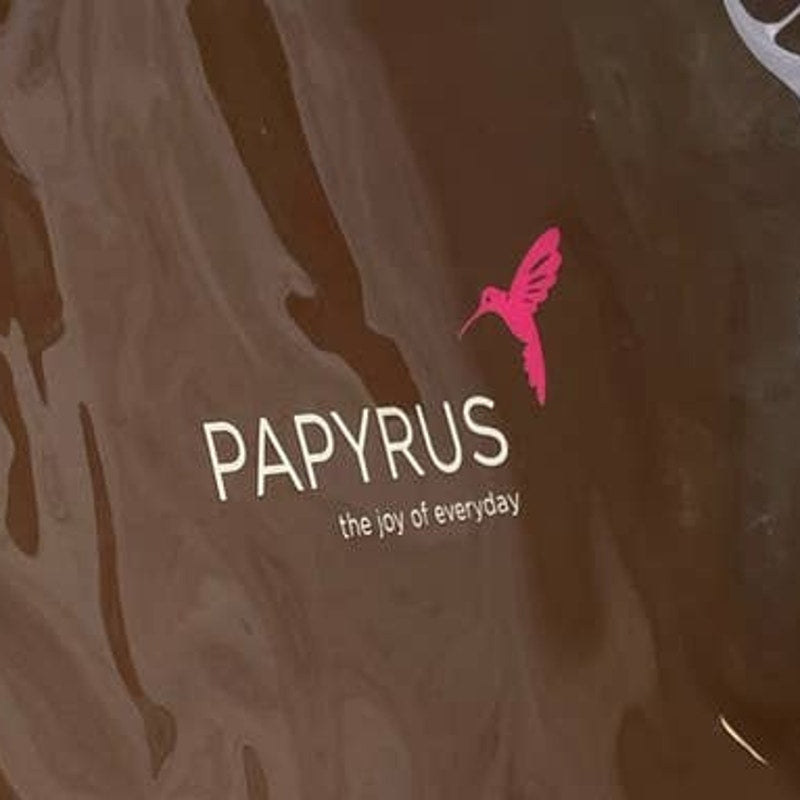 Papyrus The Joy Of Everyday Hummingbird Shiny Vinyl Plastic Handbag Tote Bag